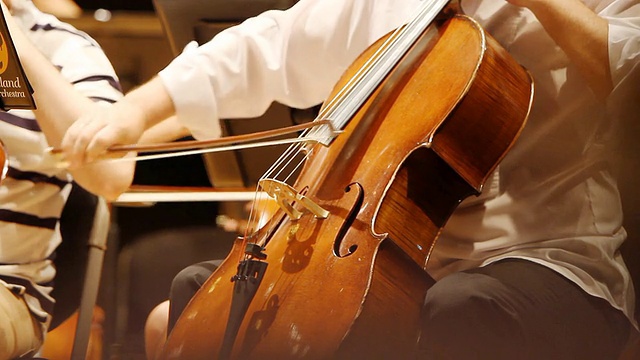 高清:大提琴的球员。视频素材