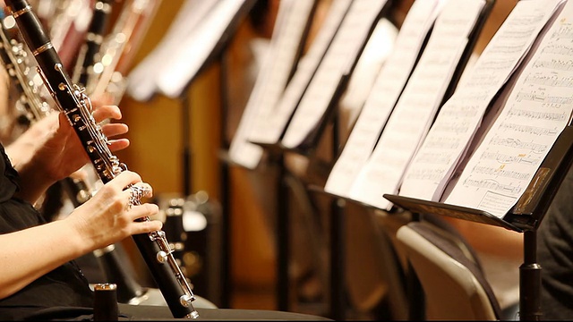 高清:音乐家吹单簧管。视频下载