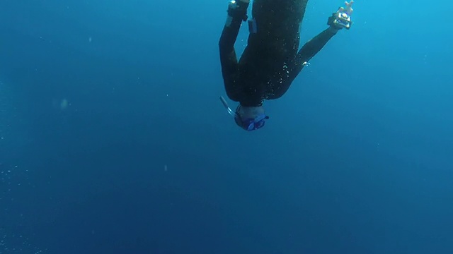 自由潜水。视频素材