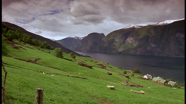 在前景/ Aurlands峡湾，挪威，有河流的PAN山脉+在山坡上放牧的绵羊视频素材