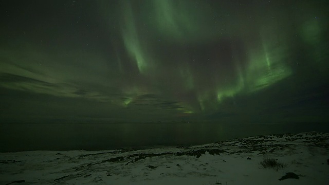 大洋湾上空的北极光。视频素材