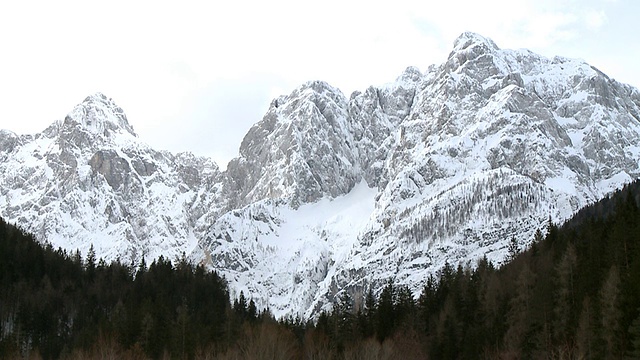 斯洛文尼亚Triglav Bohinj远处积雪覆盖的山脉下的树线视频素材