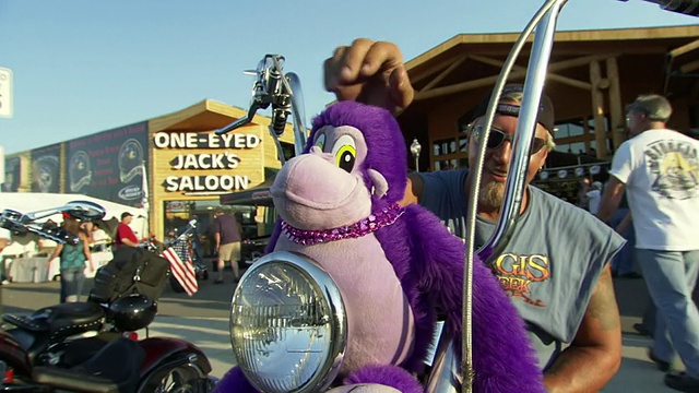 图为美国南达科塔州斯特吉斯摩托车拉力赛上，一名摩托车手炫耀他的紫色毛绒猴子视频素材