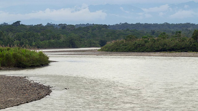 厄瓜多尔的纳波，远处是安第斯山脉。纳波河是亚马逊河的一条主要支流。视频下载
