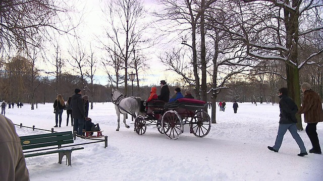 英国的花园，冬天，雪，人们在马车，行走的人视频素材