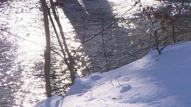 英国花园，冬天，雪，冰，水，小小溪，靠近视频素材