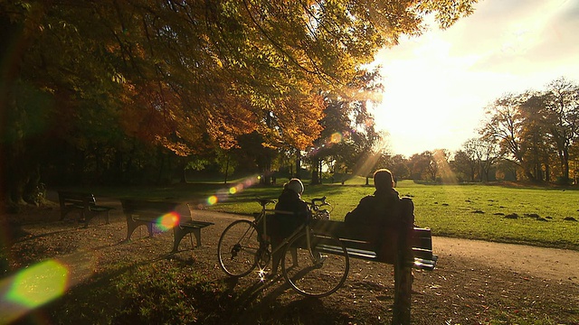 英国花园，人们坐在长椅上，秋天，彩色的树木，草坪，阳光明媚视频素材