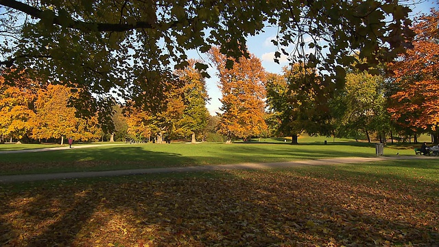 英国花园，秋天，阳光明媚，彩色的树木，公园，骑自行车的人，平移拍摄视频素材