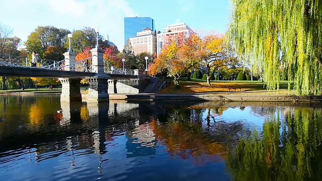 秋天在波士顿视频下载