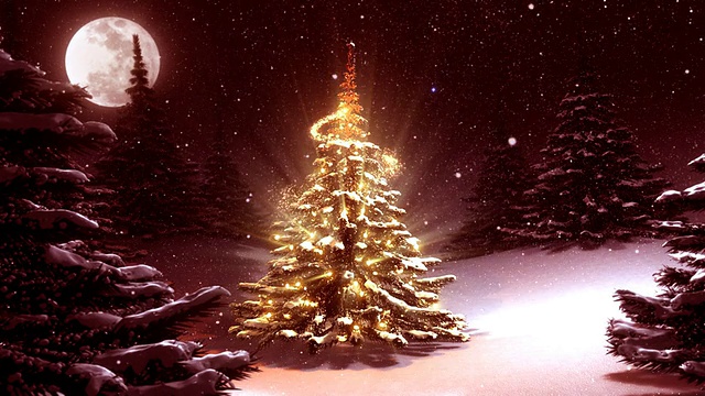 温暖的红色冬季景观装饰圣诞树视频素材