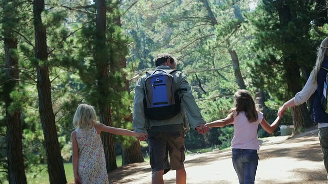 手持家庭走在森林的道路上视频素材