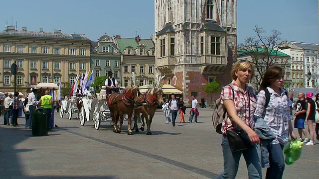 波兰克拉科夫，Rynek Glowny(主要广场)的一辆马车视频素材