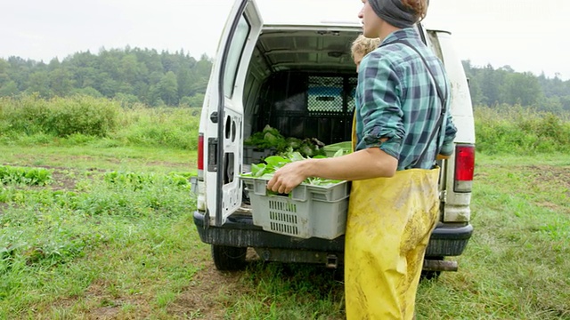 两名农民在满是收获的有机蔬菜的田野里装载着货车视频素材