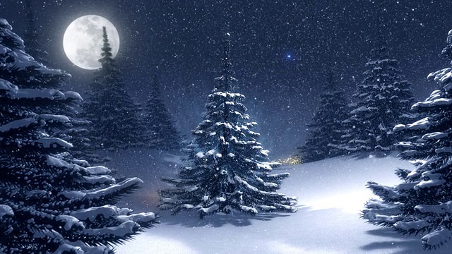 温暖的冬季景观与金色装饰的圣诞树。视频下载
