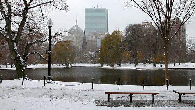 冬天在波士顿视频下载