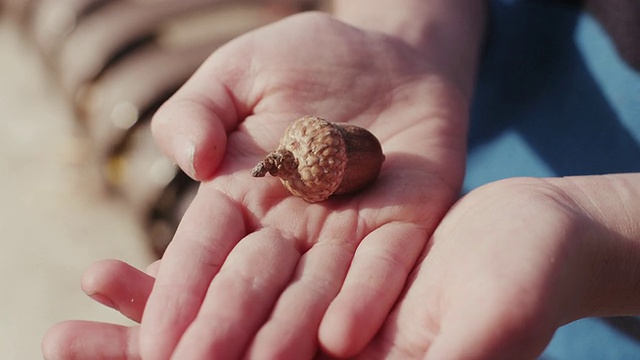 美国俄勒冈州比弗顿，孩子的小手张开，露出一只玉米视频下载