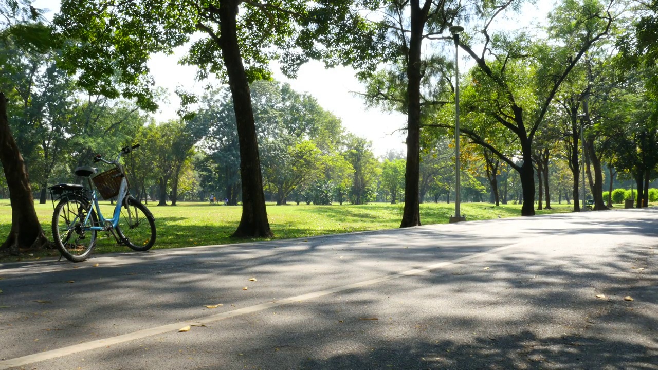 早上在格林公园的小路和自行车视频素材