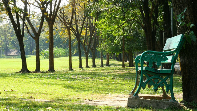 早上绿色公园的空长椅视频素材