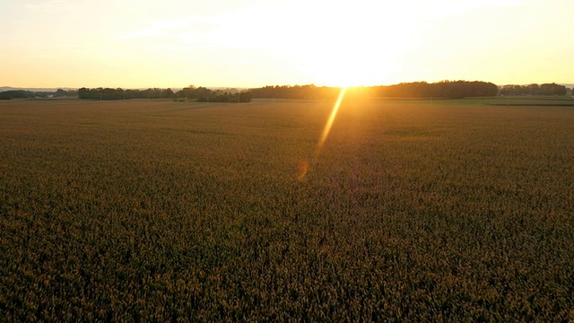 日落时分的空中农业景观视频素材