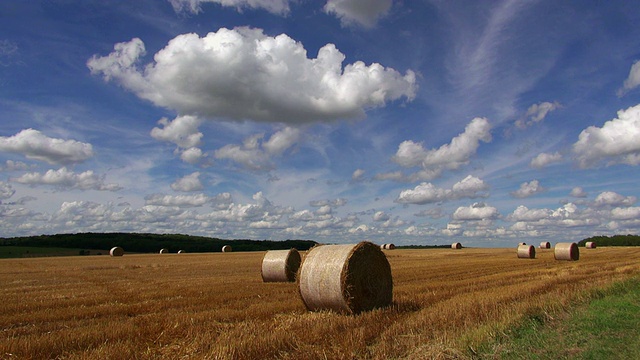收获的田野和多云的天空/德国莱茵兰-普法尔茨萨尔山谷卡斯泰尔-施塔特视频素材