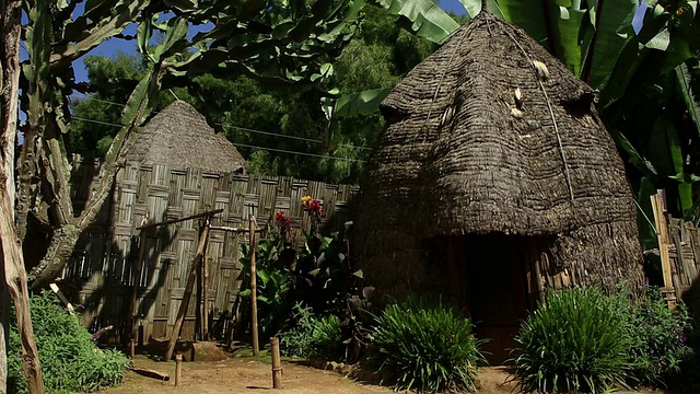 埃塞俄比亚- Dorze部落传统房屋视频下载