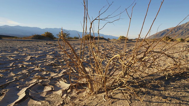 死亡谷一片干旱的河床，视频素材