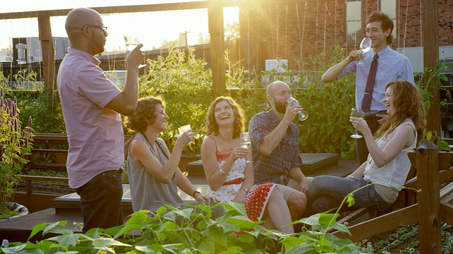 一群朋友在屋顶花园在夏季傍晚日落敬酒视频素材