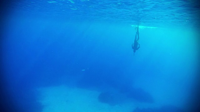 自由潜水员用鱼叉在蓝色的海洋中捕鱼视频素材