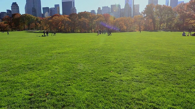 太阳从曼哈顿的摩天大楼和中央公园绵羊草地的秋日树木上照射下来。视频素材