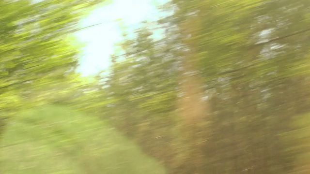 福勒斯特和树透过车窗视频素材
