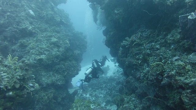 潜水者在珊瑚礁中游泳视频素材