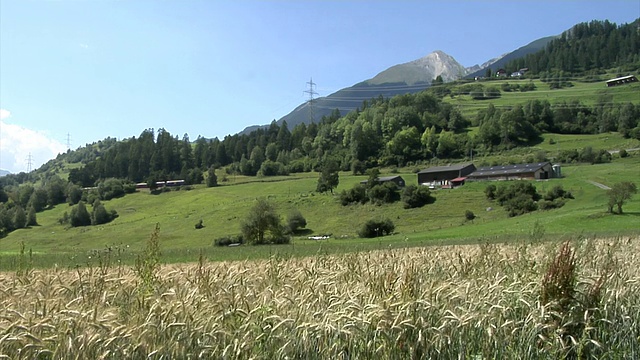 瑞士东部兰德瓦瑟尔高架桥上的火车视频素材