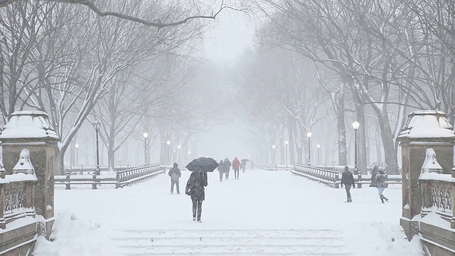 中央公园冬季风景纽约市视频素材