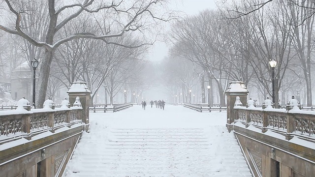 纽约中央公园的冬天视频素材