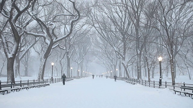 冬天下雪时中央公园的购物中心视频素材