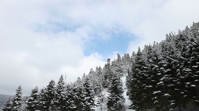 高清:冬季景观视频素材