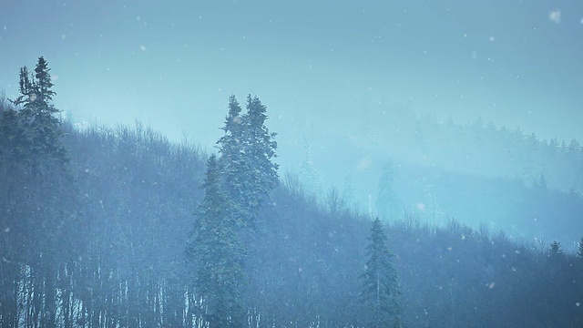高清:冬季景观视频素材