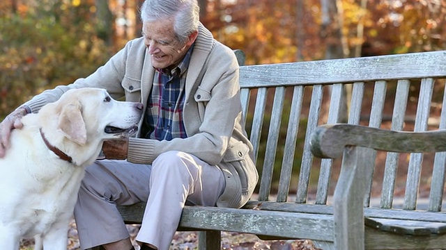 美国弗吉尼亚州里士满的公园长椅上，一名老年男子正在抚摸黄色拉布拉多寻回犬视频下载