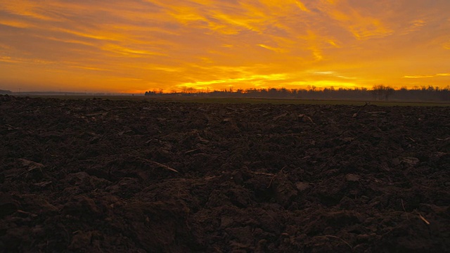 日出时耕种的田地视频素材