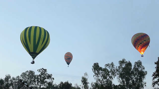 气球开始飞过田野和森林视频素材