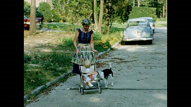 1951年，一位推着婴儿车的妇女在街上遛狗视频素材