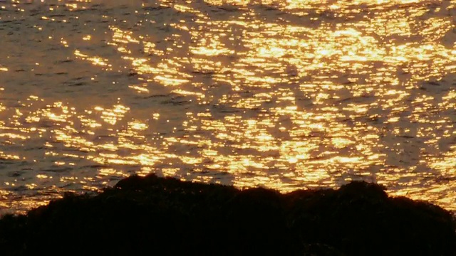 海浪，抽象的金色阳光反射在水面上，岩石缅因州海岸，水獭点，阿卡迪亚国家公园视频下载
