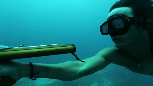 在海洋中用鱼叉捕鱼的自由潜水员视频下载