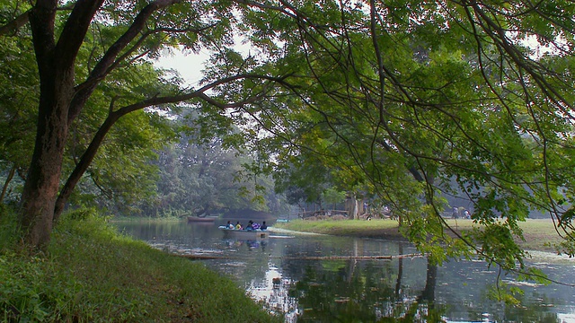 WS植物园湖/加尔各答，西，孟加拉印度视频素材