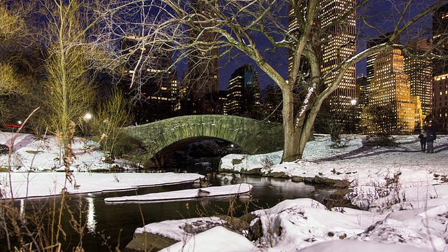 纽约中央公园的T/L桥，晚上下雪视频素材