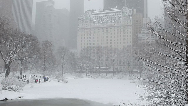 纽约中央公园的冬季降雪视频素材