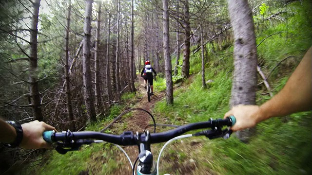 山地车视频:森林里的单轨视频下载
