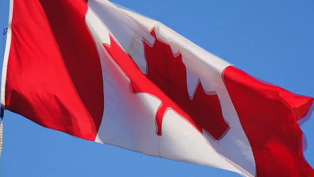 蓝天上飘扬的加拿大国旗视频素材