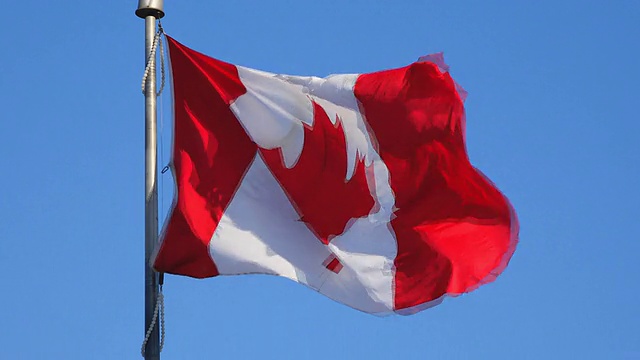 蓝天上飘扬的加拿大国旗视频素材