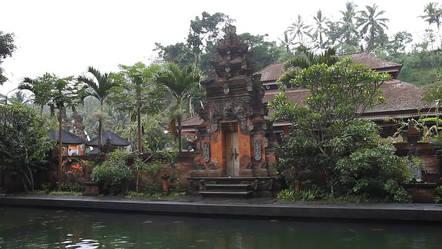 Pura Tirta Empul寺庙的鲤鱼池视频下载